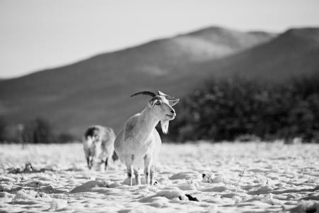 21 foto Blaž Žnidaršič